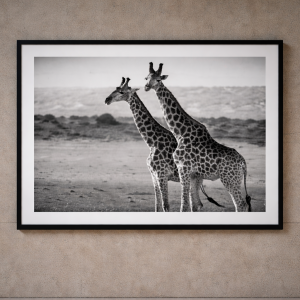 Stillness in the Savannah
