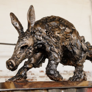 Aardvark Children